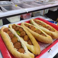 استخدام نیروی اقا