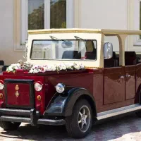 ماشین لوکس تنها در ایران