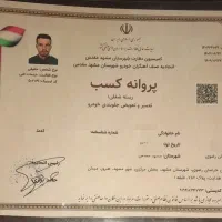 جلوبندی ترمز