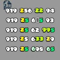 سیم کارت ۹۱۹ کد دو معمولی و نیمه رند سری چهارم