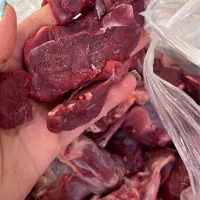 پخش آلایش شترمرغ