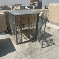 گنجه کبوتر