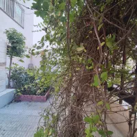 عرصه تسویه فاز ۸ ،محله یک ،نیکو