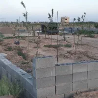 پلاک-باغی-450-متری