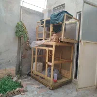 قفس چوبی