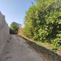 فروش باغ بنه گز/ بر بزرگراه چغادک ـ دیر