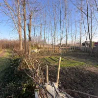 فروش ۲۸۰ متر زمین رشت پسیخان