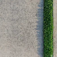 موزاییک و کف فرش بتنی - بناراز بتن