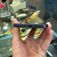 Poco M5|موبایل|شیراز, زند|دیوار