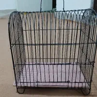 قفس پرنده،فنچ