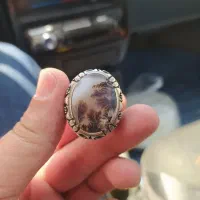 انگشتر شجر رکاب نقره سفارشی کلکسیونی