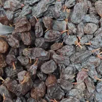 فروش عمده کشمش آفتابی. بدون هسته