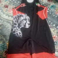 دوبنده کشتی