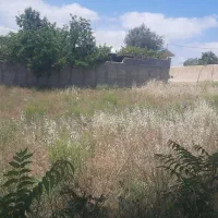 فروش زمین مسکونی در الموت قزوین(رازمیان)