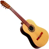 گیتار h320
