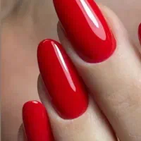 جذب ناخنکار مبتدی و حرفه ای(فوری)