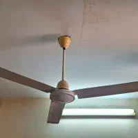 پنکه سقفی