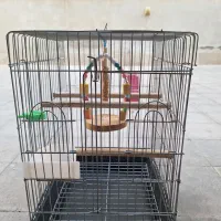 قفس سالم
