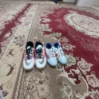 کفش|کیف، کفش، کمربند|نیشابور, مازول|دیوار