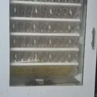 دستگاه برای  جوجه کشی