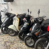 انواع پاکشتی