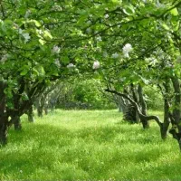 فروش زمین شهری