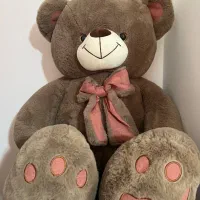 خرس تدی نو خارجی