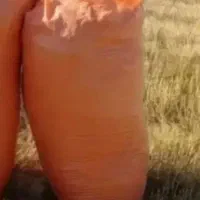 کاه گندم دیمه