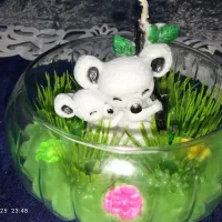 شمع|صنایع دستی و سایر لوازم تزئینی|ارومیه, |دیوار