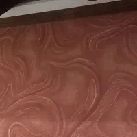 موکت در دوطرح سالم (فقط موکت )