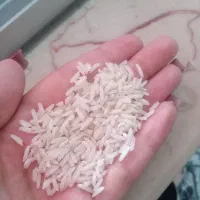 برنج هاشمی تازه
