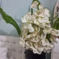 گلهای لیلیوم مصنوعی سفید خارجی اصلی