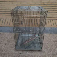 قفس پرنده استیل
