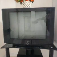 تلویزیون