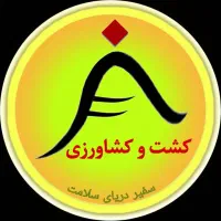 جذب همکار و شریک جهت کشت گوجه فرنگی در کنگان