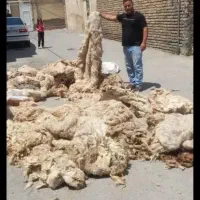 پشم