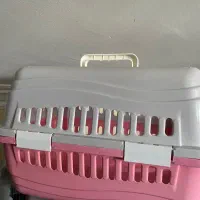 باکس سگ و گربه