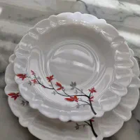 آرکوپال ۲۴نفره