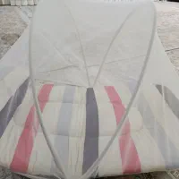 پشه بند
