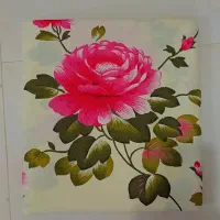 پارچه|سرویس روتختی|مشهد, میان ولایت|دیوار