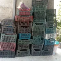 سبد دونه ای ۲۵