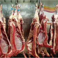استخدام قصاب با تجربه کار