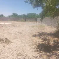 ۲۵۰ متردر سکنج