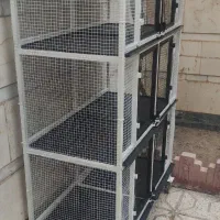 قفس پرنده