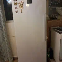 فریزر الکترو استیل