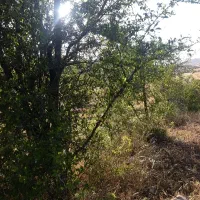 فروش تلمبه بلاکستان