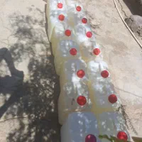 گالن خالی