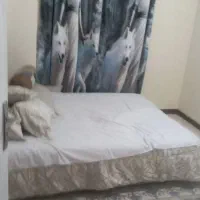 نظافتچی خانم نیازمندیم