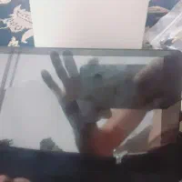 باند ومانیتور