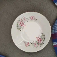 سرویس غذا خوری